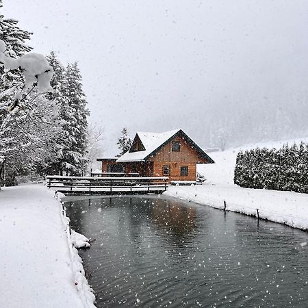 Chalet Am Teich Familie Gaenser Feistritz am Kammersberg Exterior foto