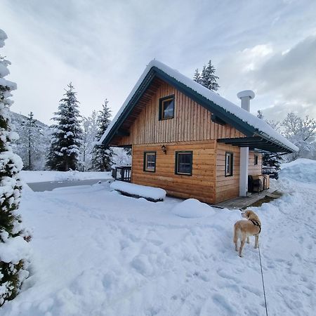 Chalet Am Teich Familie Gaenser Feistritz am Kammersberg Exterior foto
