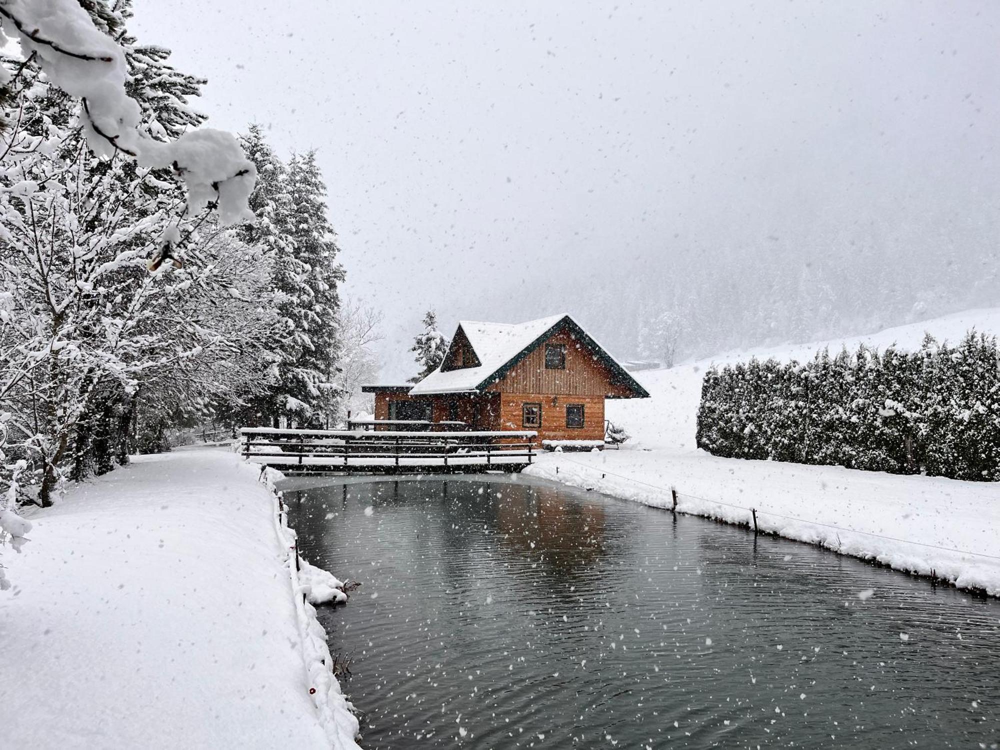 Chalet Am Teich Familie Gaenser Feistritz am Kammersberg Exterior foto